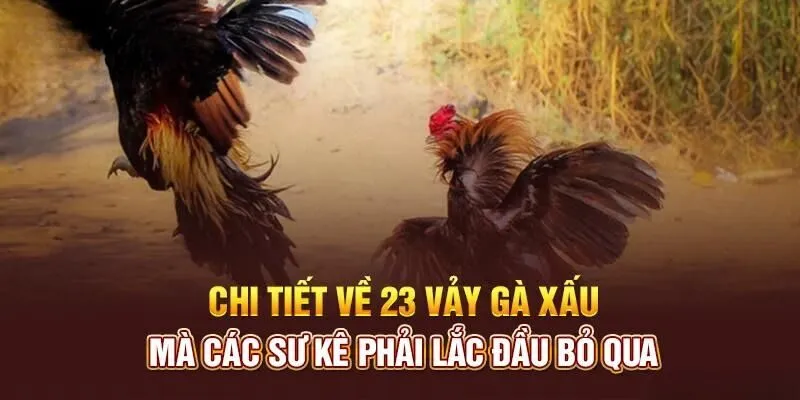 Danh sách 23 vảy gà xấu và cách nhận biết chính xác